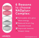 NADplus+ Complex